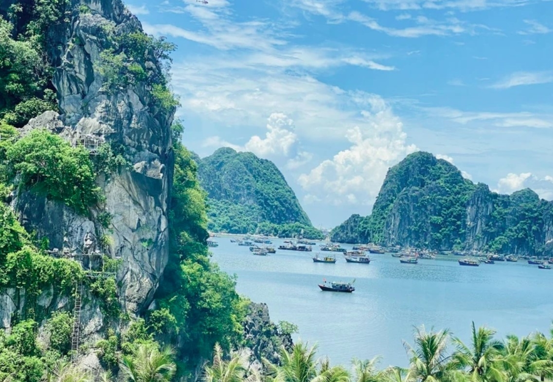 Holidaymakers seek for green, cultural tours in this summer